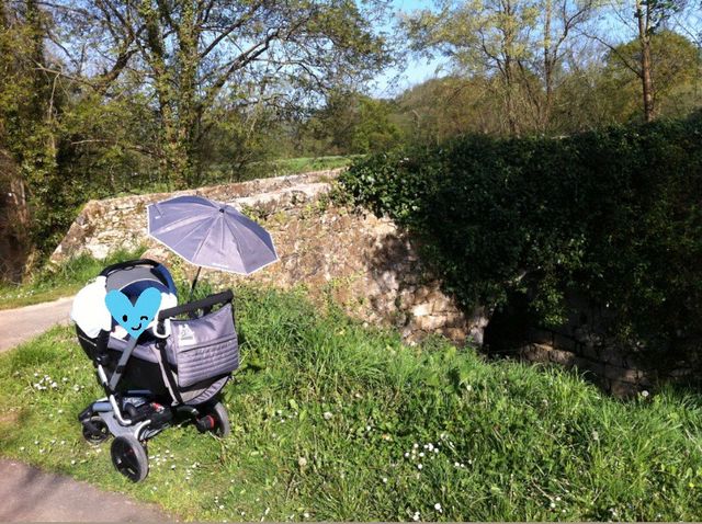 Trío Silla Paseo, Capazo y Huevo Jane Rider