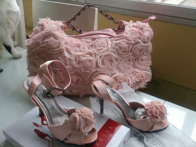 Zapatos y bolso de vestir