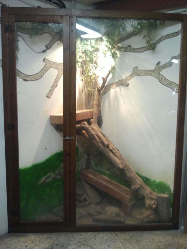 terrario de esquina grande.
