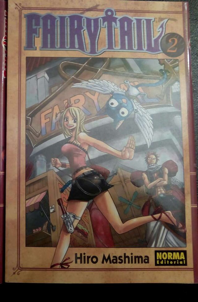 Fairy Tail - Tomo 2
