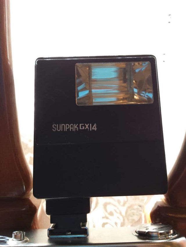 Camara Halina Paulette