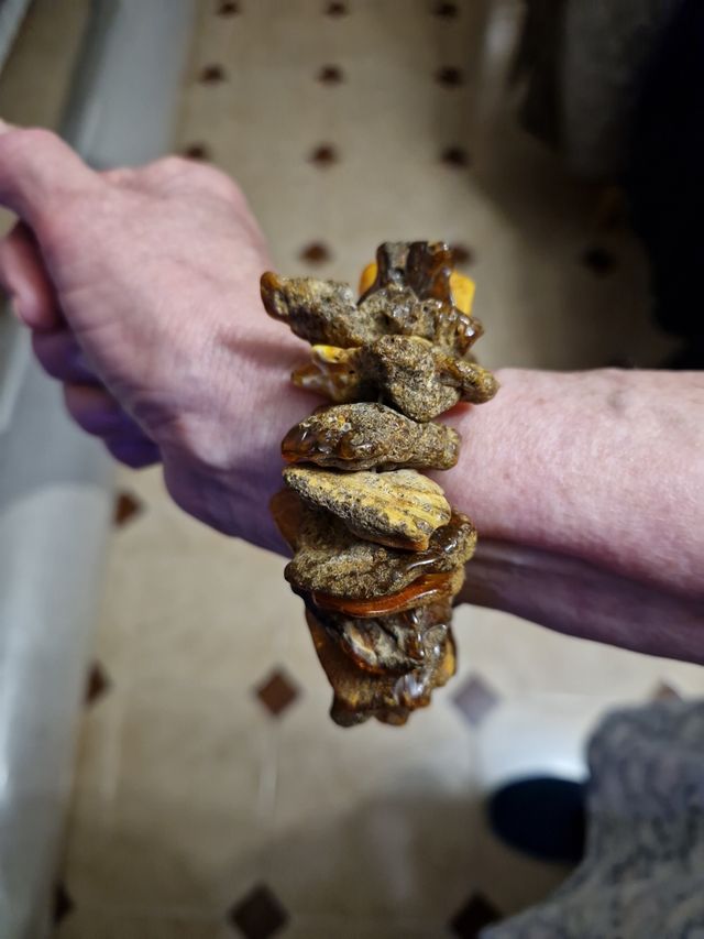 Preciosa pulsera elástica de Ambar salvaje