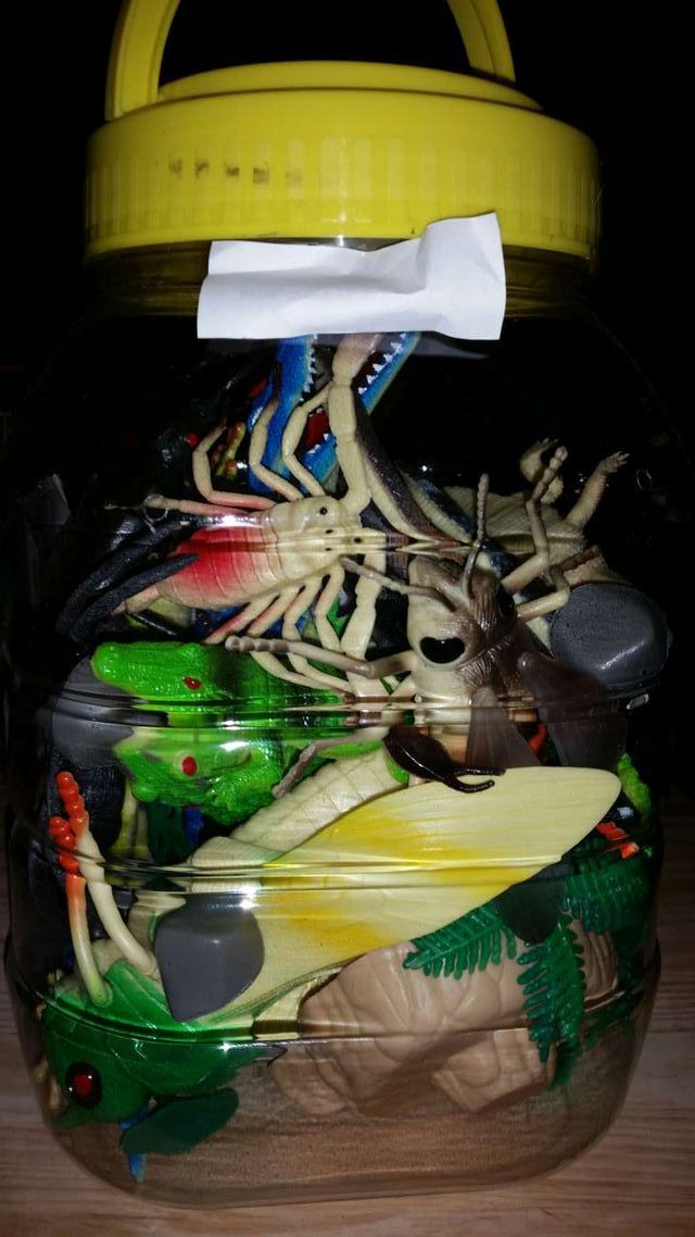 Bote Gigante Reptiles