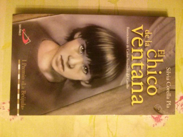 Libro el chico de la ventana