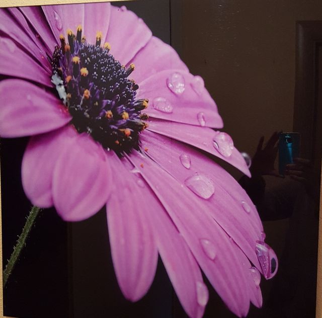 OPORTUNIDAD!! CUADRO NUEVO