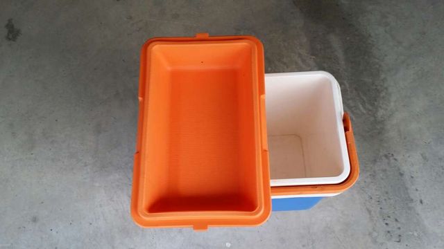 Nevera de camping marca bravo