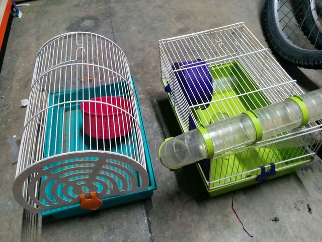 Jaulas de hámster