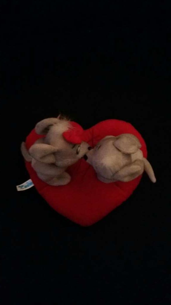 Peluche en forma de corazón