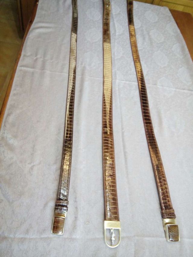 Cinturones de cocodrilo