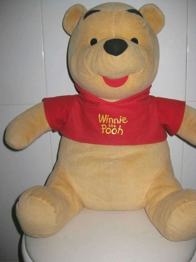 Winnie the pooh