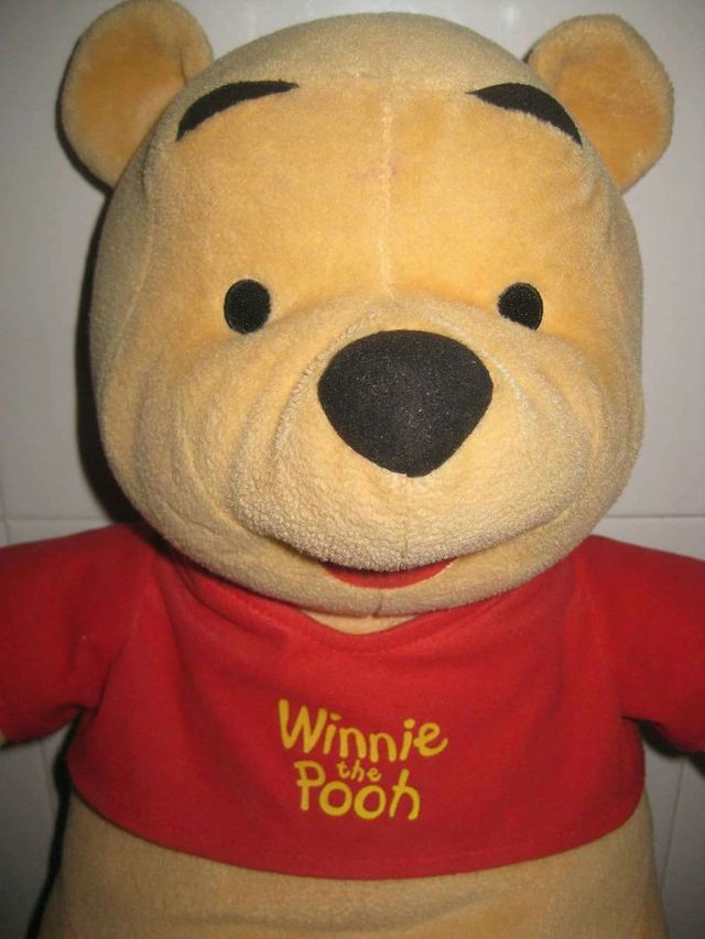 Winnie the pooh