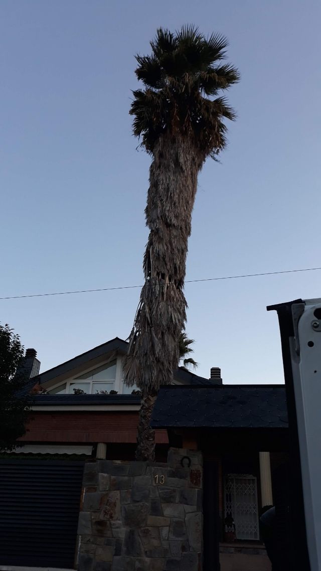 VENTA DE LEÑA, DESBROCES DE PARCELAS