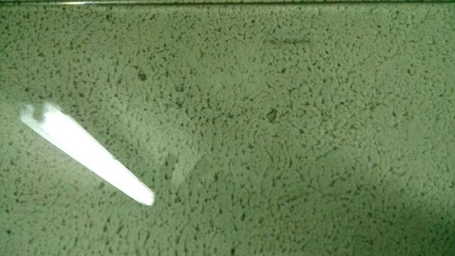 Mampara de baño profiltek