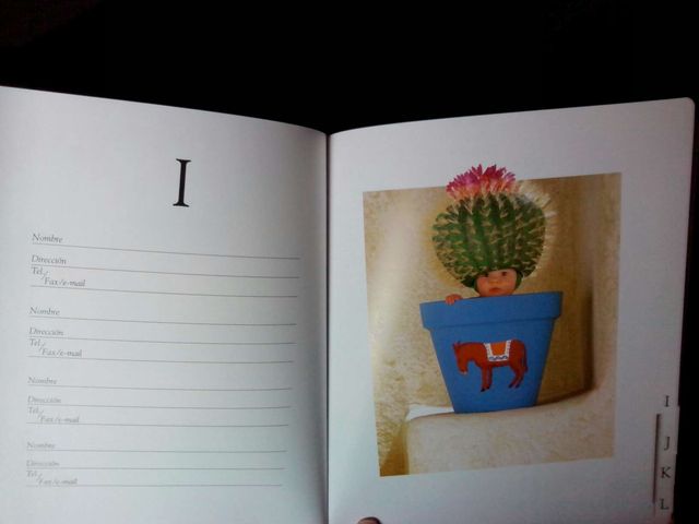 Agenda direcciones Anne Geddes