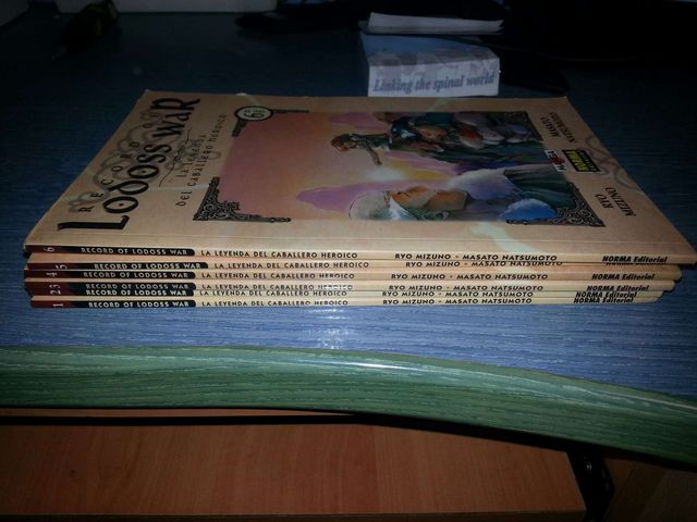 Record of Lodoss war (manga)