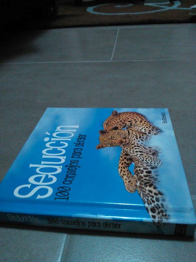 Seducción 100 Consejos Para Atraer De Eva Gizowska De Segunda Mano Por 4 En Terrassa En Wallapop