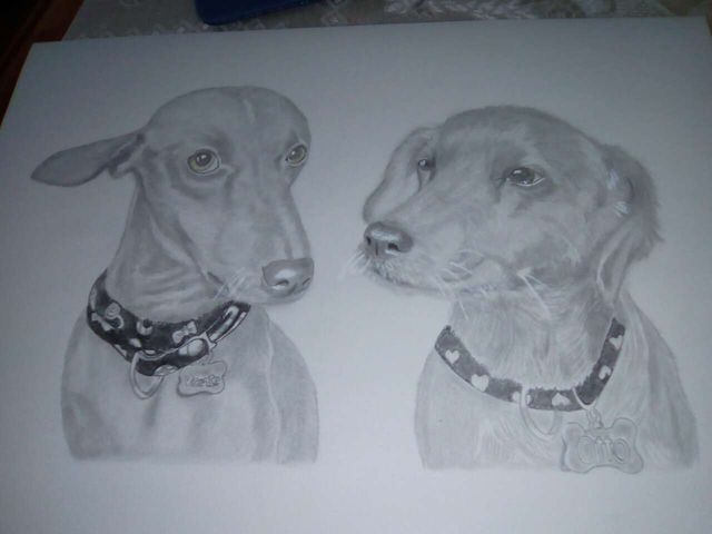 Retratos y caricaturas de tu mascota y personas.