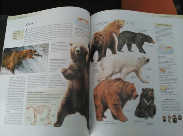 Enciclopedia de los animales.
