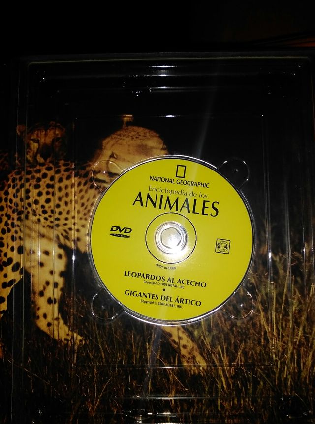 Enciclopedia de los animales.