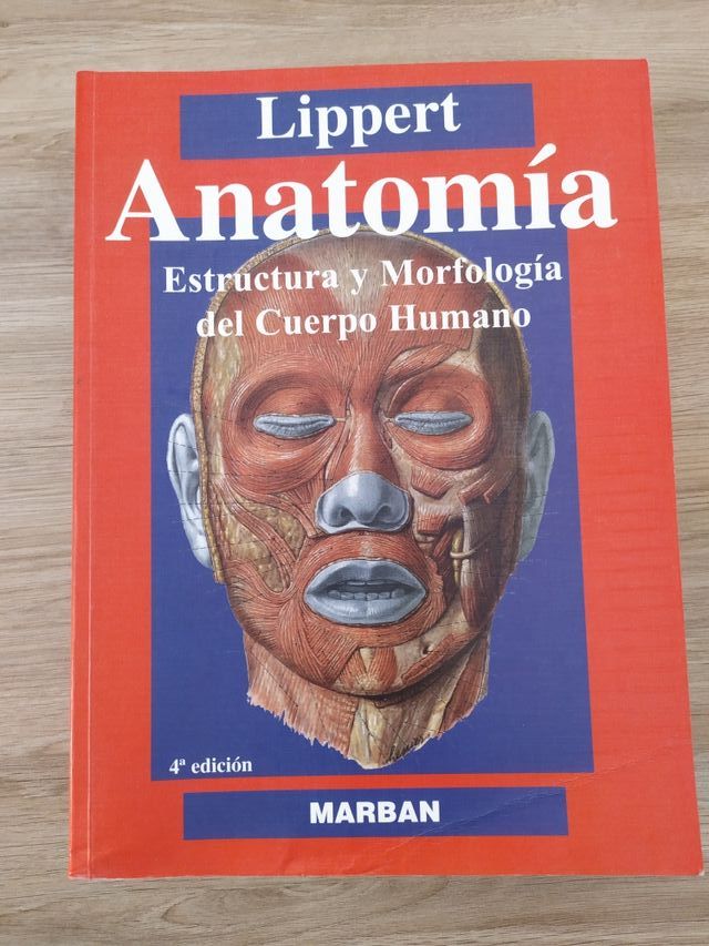Anatomia. Lippert