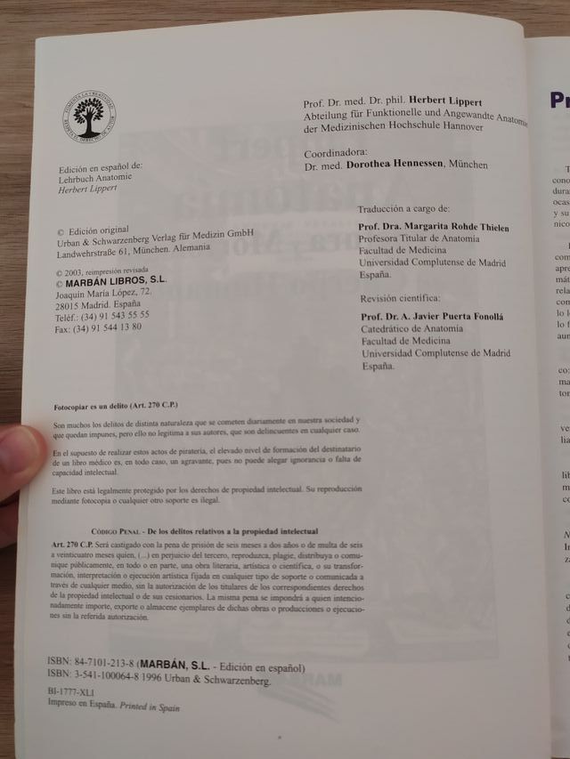 Anatomia. Lippert