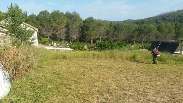 Limpieza de parcelas