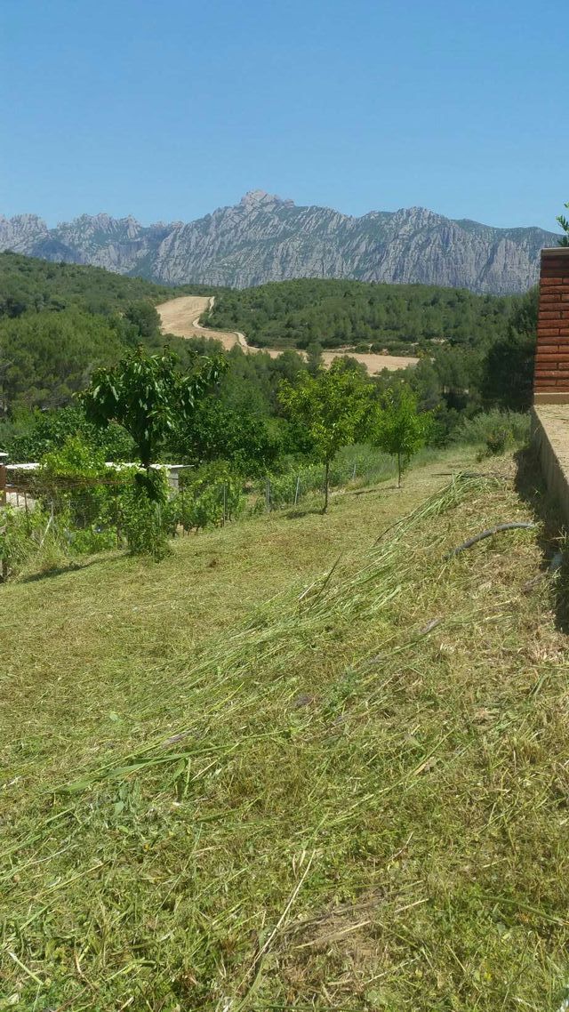 Limpieza de parcelas