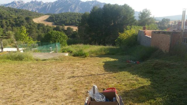 Limpieza de parcelas