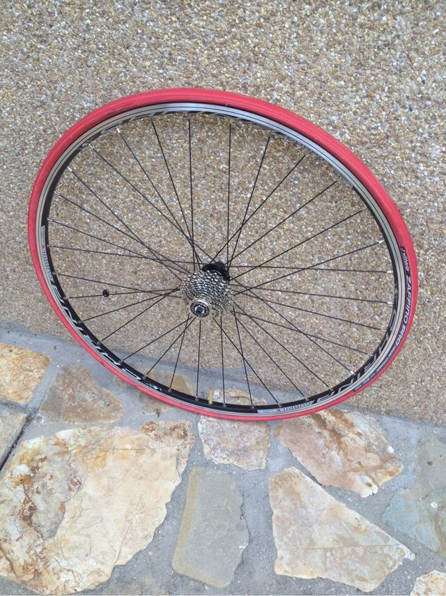 Ruota per bici da strada