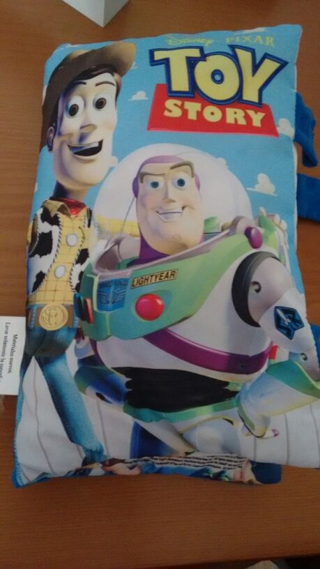 Livro/história de Toy Story