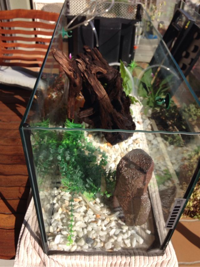 Acuario 100 Litros (80x30x 40)