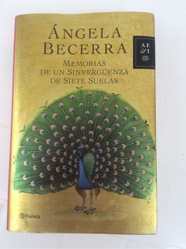 Memorias de un sinvergüenza de siete suelas, nuevo