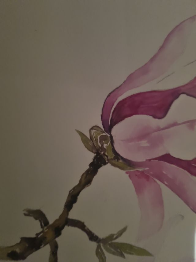 ACUARELA  DE MAGNOLIA