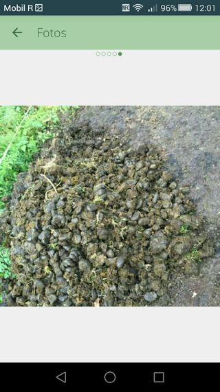 Estiércol de caballo 100% ecologico!! de segunda mano por 2,5 € en