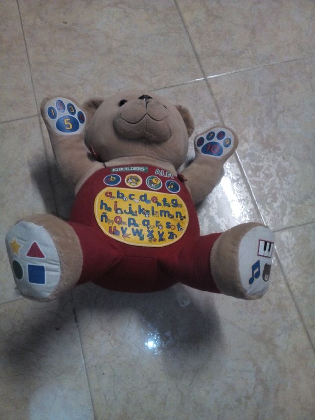 Oso Alfi