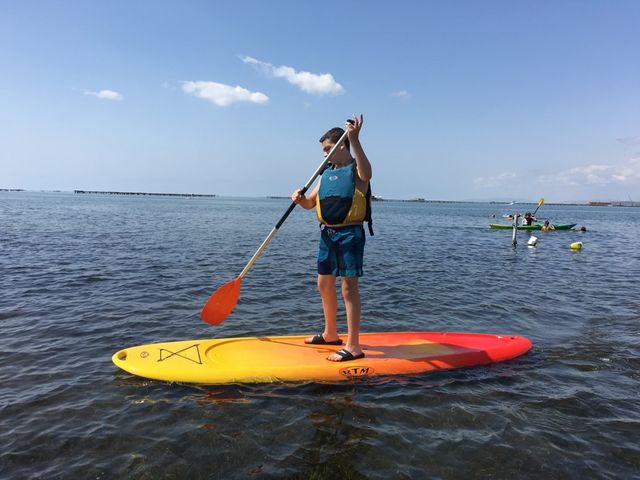 ALQUILER Y CURSOS DE PADDLE SURF