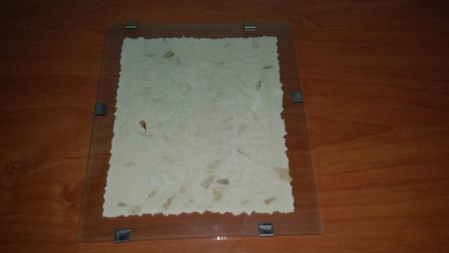 CUADRO/PAPIRO ENMARCADO EN CRISTAL