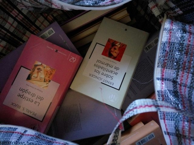 Lote de libros colección nueva