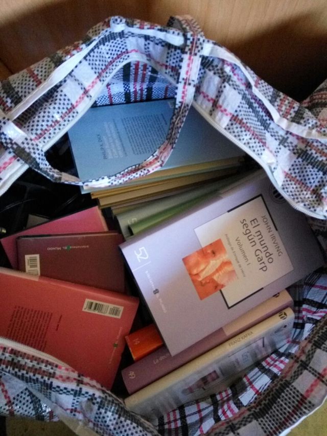 Lote de libros colección nueva