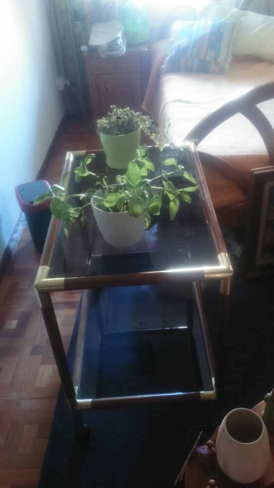 Estantería mesita madera cristal