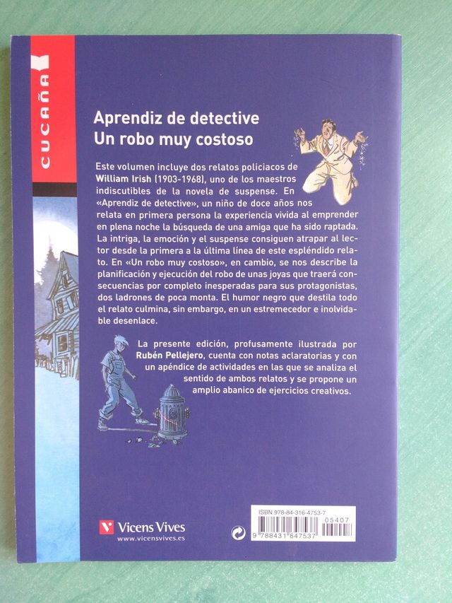Aprendiz de detective: un robo muy costoso