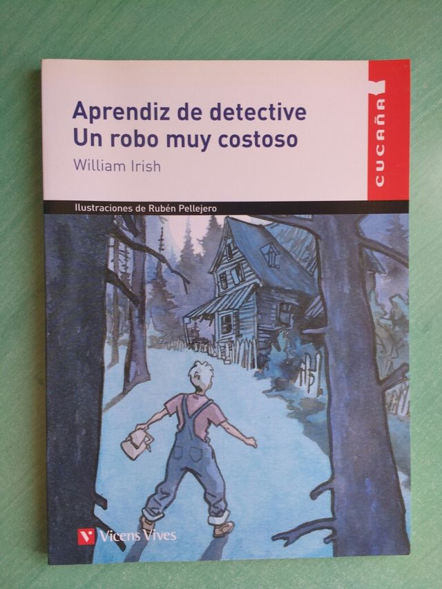 Aprendiz de detective: un robo muy costoso