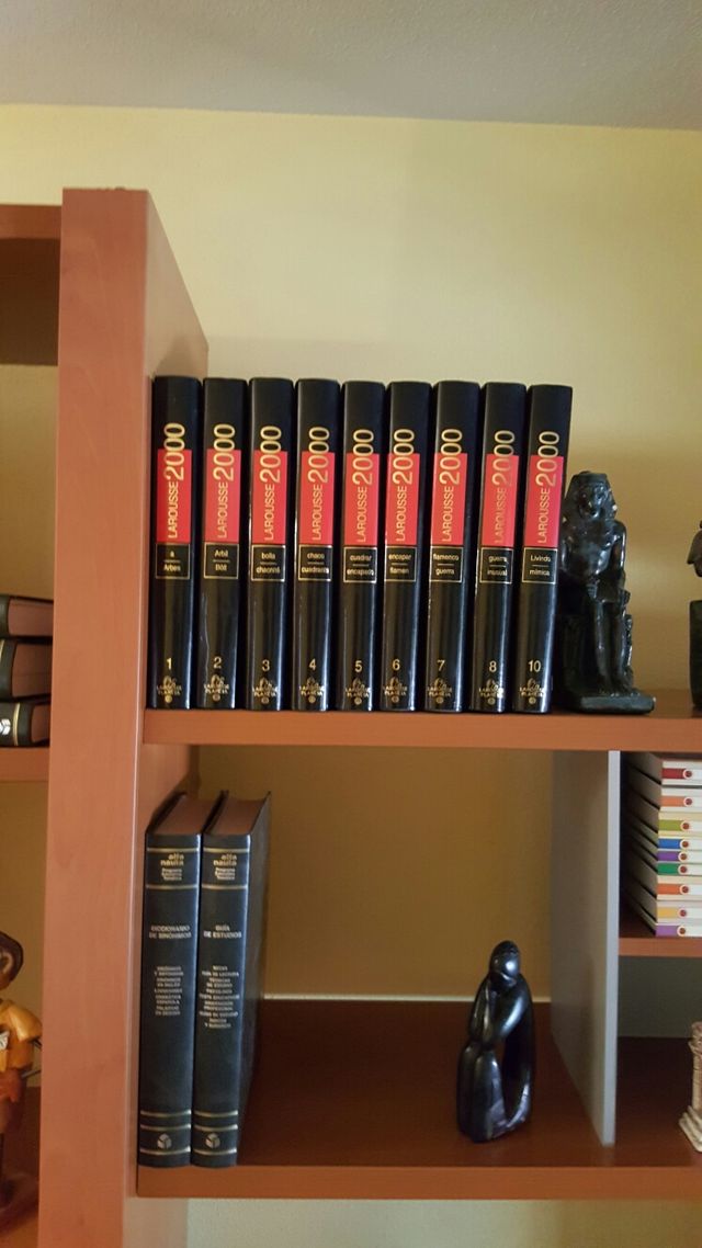 DICCIONARIO ENCICLOPEDIA LAROUSSE