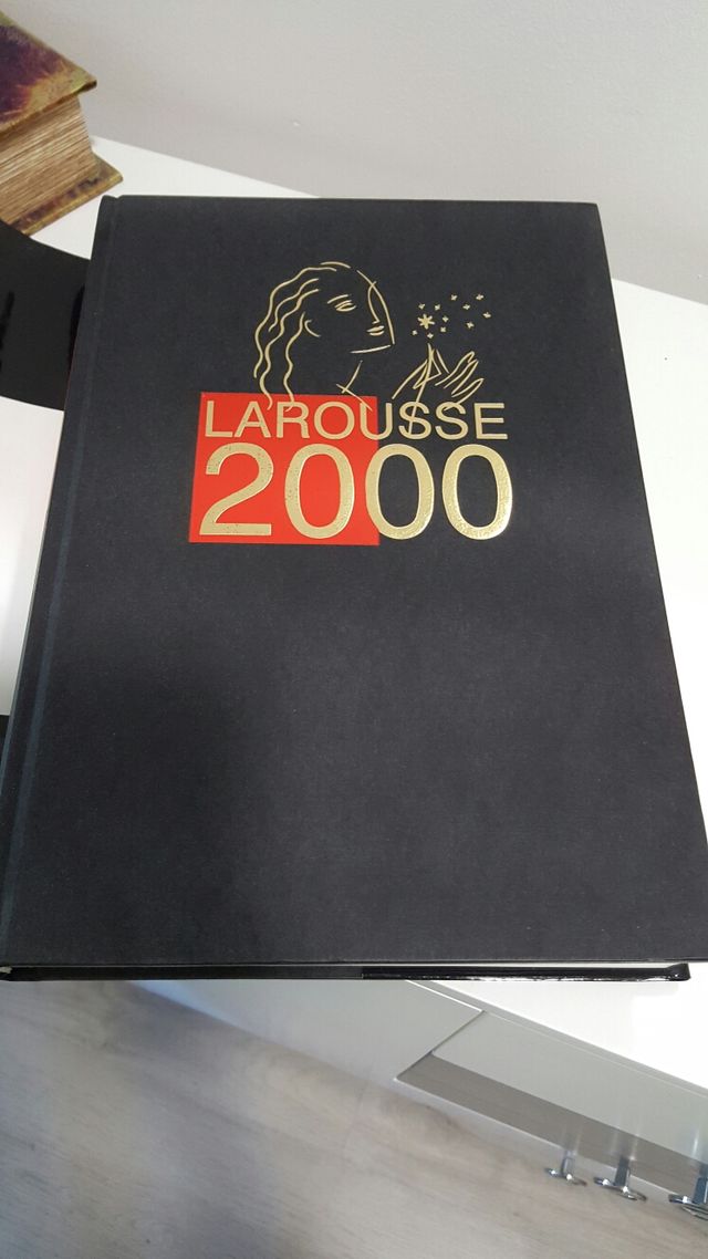 DICCIONARIO ENCICLOPEDIA LAROUSSE