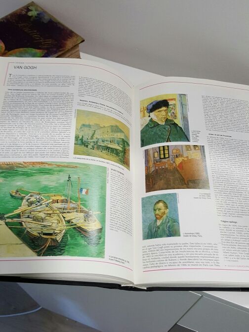 DICCIONARIO ENCICLOPEDIA LAROUSSE