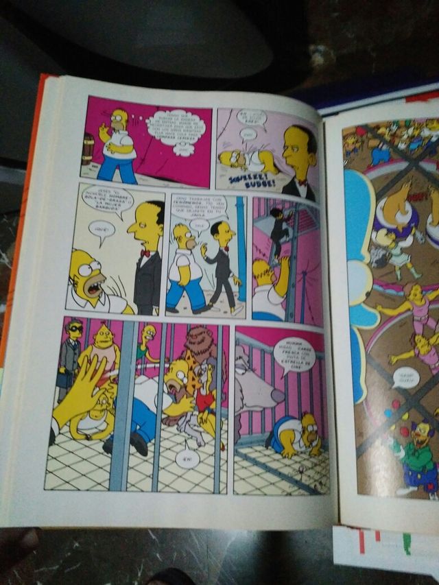 Libros Simpsons CHOLLO