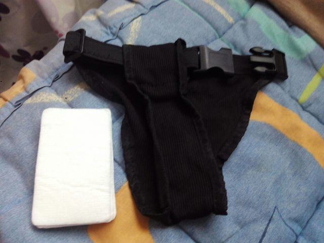 Bragas para perras o gatas, sin estrenar