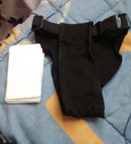 Bragas para perras o gatas, sin estrenar