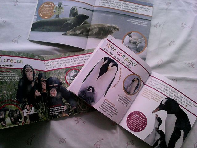 Libritos animales (3)