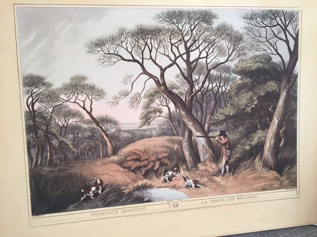 Lote de cuadros ingleses antiguos